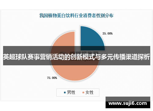 英超球队赛事营销活动的创新模式与多元传播渠道探析