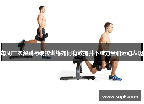 每周三次深蹲与硬拉训练如何有效提升下肢力量和运动表现
